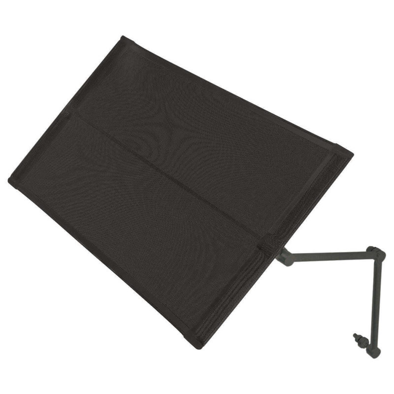 Lounger Sunshade - Graphite Frame - Carbon Sunbrellaﾮ Sling