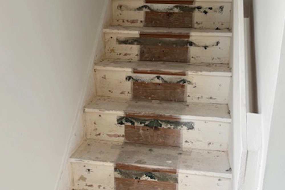 Andrew-Banks staircase refurbishment – before Andrew-Banks staircase refurbishment - before