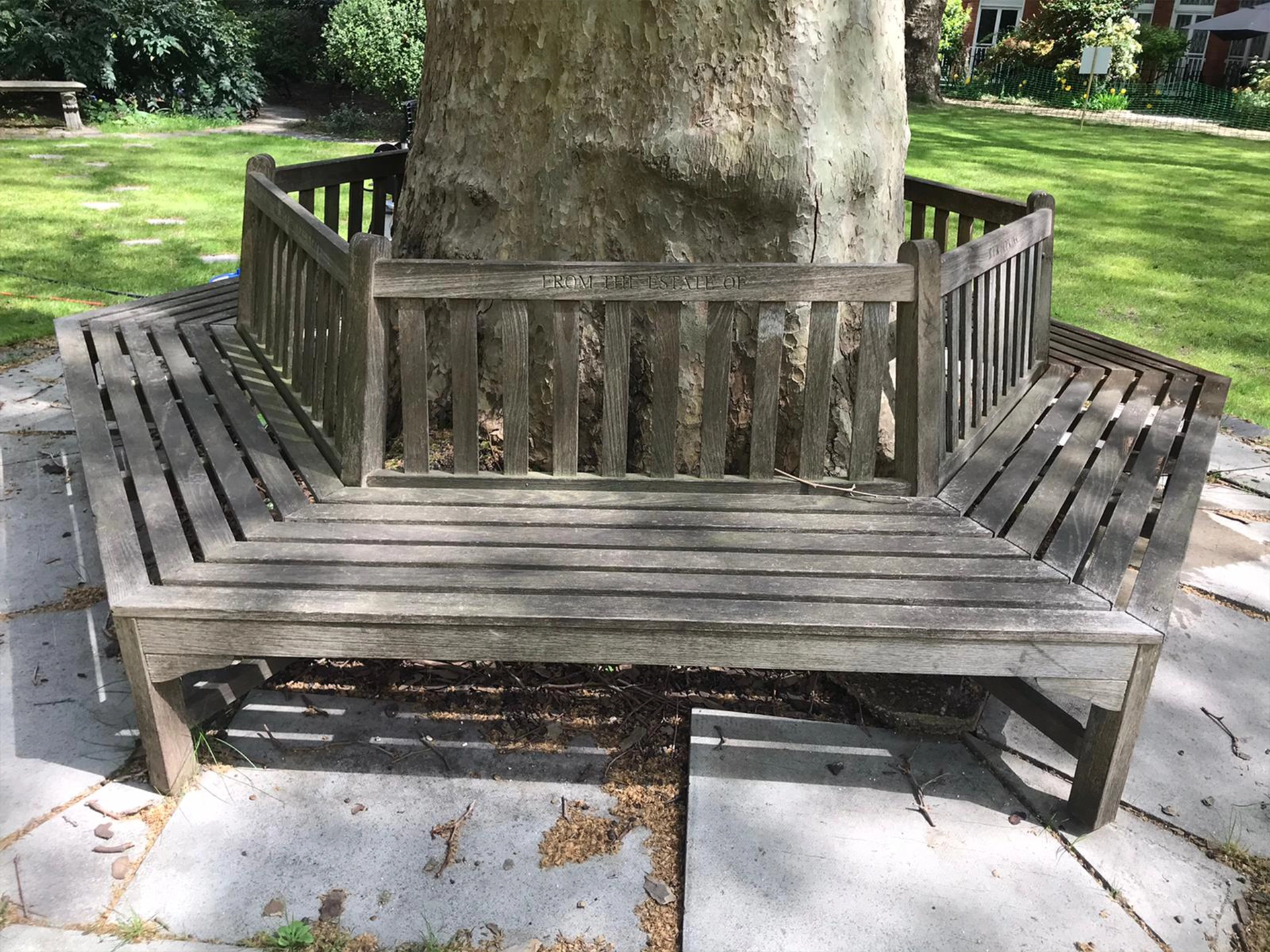 Andrew Banks garden furniture restoration weathered round tree - before