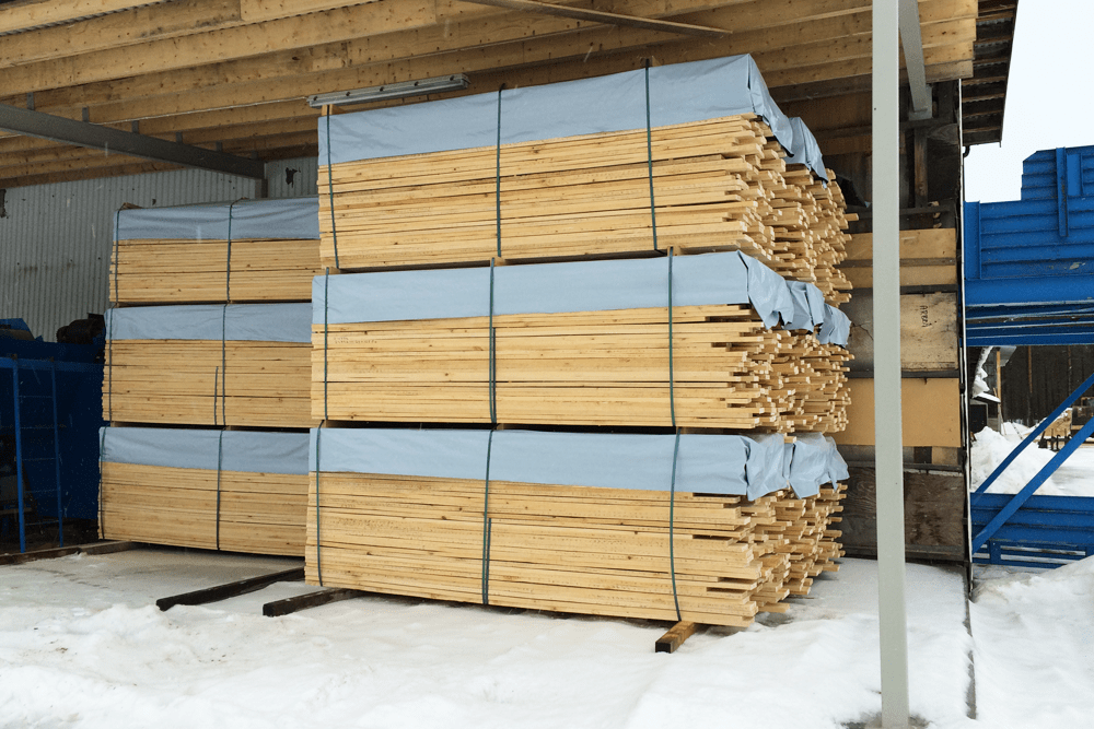 Birch ready for export by trailer
